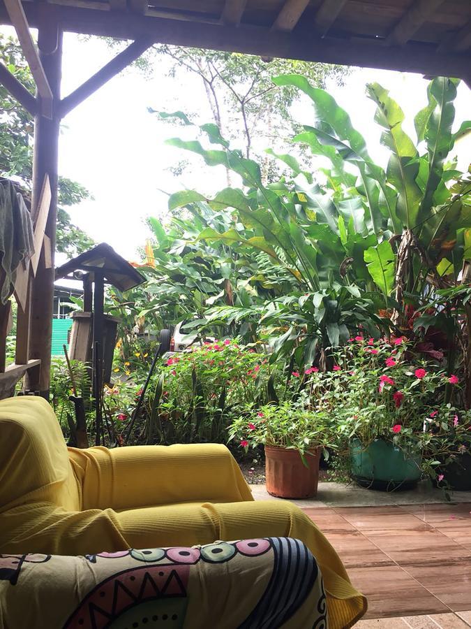 Wood House Hostel La Fortuna Exteriör bild