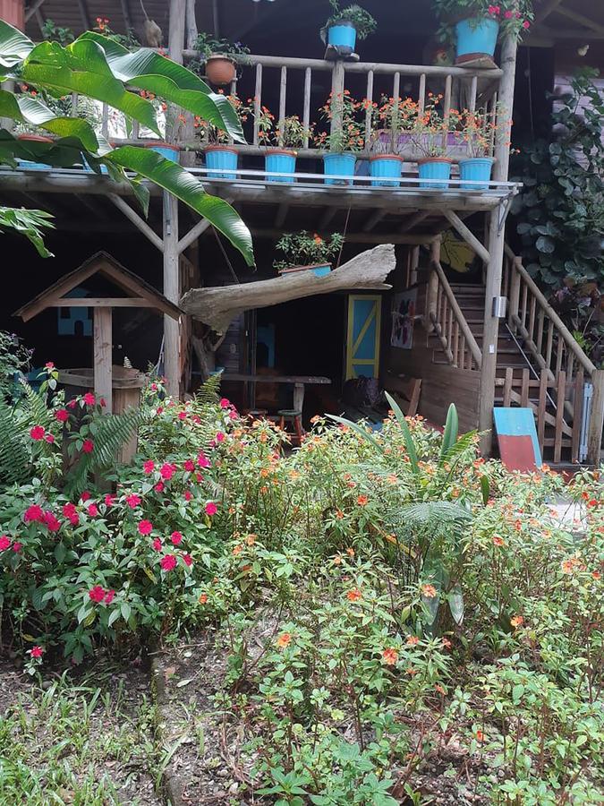 Wood House Hostel La Fortuna Exteriör bild